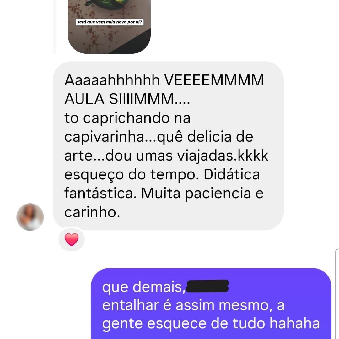 Print de mensagem sobre a capivarinha e a didática do curso