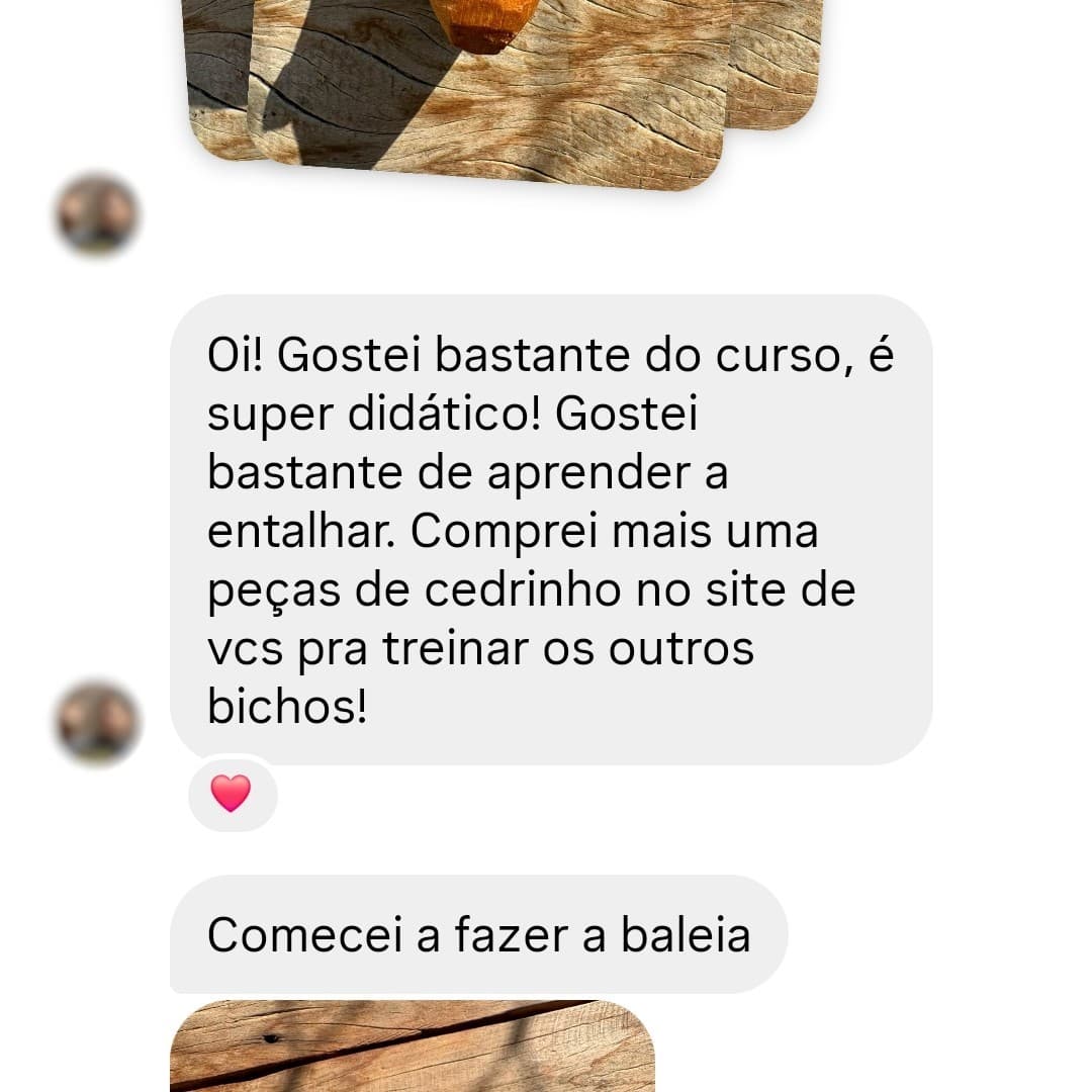 Print de mensagem sobre o curso didático e a prática da baleia